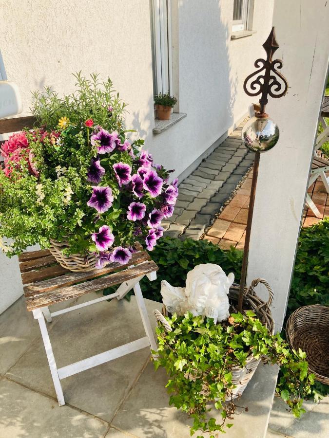 Das Ferienhaus-Zurueck Zum Ursprung Güssing Exteriör bild
